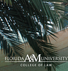 Scholarly Commons @ FAMU Law